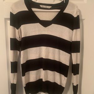 Bluenotes Striped V-Neck Pullover Sweater